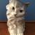 Noritake cat figurine 1 thumbnail