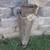 Farm Items Corn Seed Planter + Rake Head Decoration 3 thumbnail