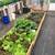 NEW 20x20 FULLY BRACED GREENHOUSE HIGH TUNNEL KIT-Grow your own food! 2 thumbnail
