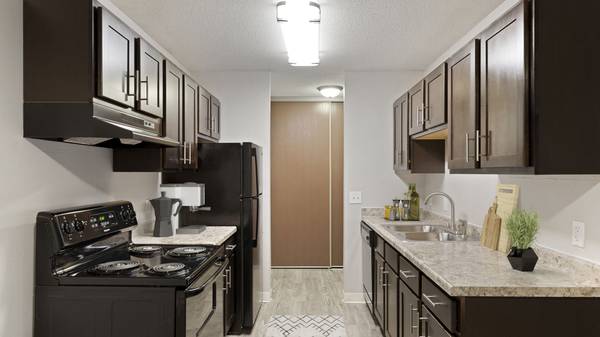 $1,325 / 1br - 776ft2 - 1/bd 1/ba, Flex Rental Payments Available, Elevators (Ramsey County)63990530987395124