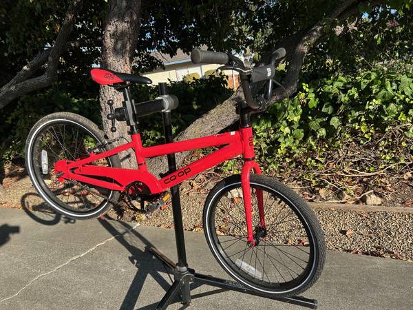 Kids 20 inch bike 1