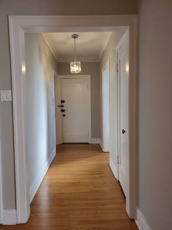 $1,450 / 1br - 900ft2 - One Bedroom/One Bath in Historic Building ~ Heat Included (Chicago)63899125855362124