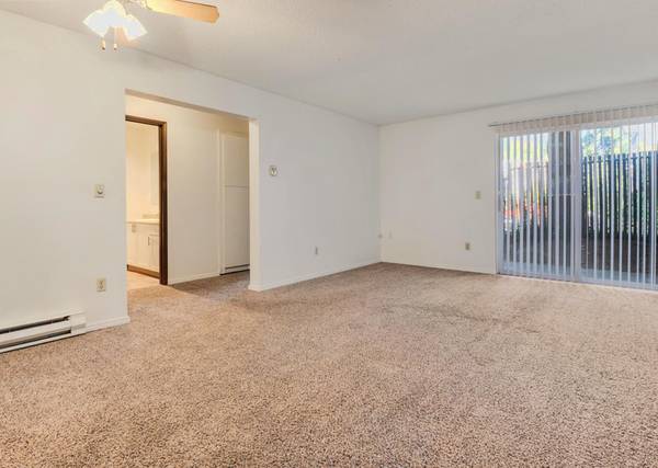 $1,250 / 1br - Fireplace, Fans, Large Ceilings + Lovely 1 Bedroom - Pet Friendly Unit (Portland)63831327442305123