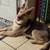german shepherd 2 thumbnail