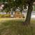 3 Bedroom Brick/Aluminum One Owner Ranch Home  $329,900.00 1 thumbnail