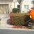 Summer Cleanups/Yard Cleanups/Sprinkler drip Repair,YardMaintenance 2 thumbnail