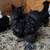 Silkies 2 thumbnail