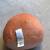 8 Inch Pep the Pizza Squishmallow 2 thumbnail