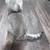 Scottish Kittens 7 thumbnail