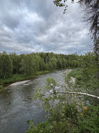 $390,000 / 532738ft2 - 12.23 Acres of Alaskan paradise (Willow)64004784232835121
