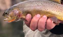 RE re Hypocrisy in Full View64704953058818120