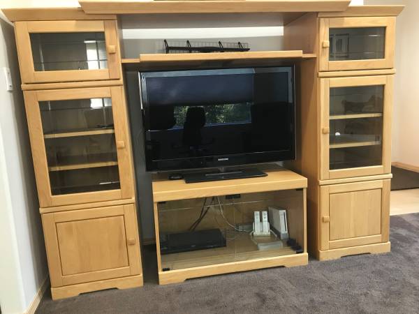 Entertainment Center in Excellent Condition 1