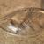 CLEAR GLASS DIVIDED RELISH DISH TRAY RAISED LEAF TEXTURED 9" X 5" 4 thumbnail