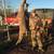 Youth Rifle Season 4 Deer- Sept 24 thru 26. 6 thumbnail