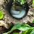 Ball python with enclosure 6 thumbnail