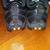 FEMALE NIKE FASTFLEX Sports SPIKES 3 thumbnail