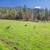 Move to Oregon! 5 bedroom 3 bath 2110 SQFT 599k 22 thumbnail