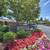 CLUBHOUSE & POOL ACCESS WITH THESE STUDIO & 1BR APTS. FOR SENIORS 2 thumbnail