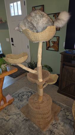 Unique cat climbing tree 1