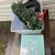 Free Coffee Table w/other miscellaneous items 3 thumbnail