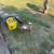Nigerian dwarf goats 2 thumbnail