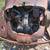 Rare 1959 Renault 4CV – Project Car or Parts – $2,000 OBO
 5 thumbnail