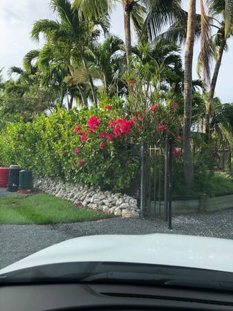 NEED HELP IN KEY WEST FL 1