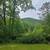 Waterfront Creek Property 5 thumbnail