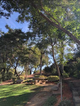 $1,400 / 1br - 1500ft2 - Private Master Bedroom + Bathroom Available in Townhouse (Mission Valley)63657243026177120