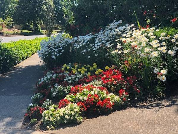 $1,693 / 1br - 679ft2 - Come see for yourself, all that Sorrento Bluff 1-beds have to offer! (SW Beaverton, Murrayhill, Portland, Hillsboro, Aloha)63831772159235123