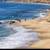 BEACH ROOM FOR SHARE 2 thumbnail