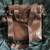 BRAND NEW Padieoe Leather Designer Shoulder Bag, RETAIL: $120 5 thumbnail