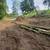 Excavation,Roads,Trucking, Fire reduction 2 thumbnail