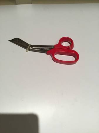 English Clamshell Scissors 1