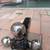 16000  LB Trailer hinge 1 thumbnail