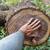 Pine log posts 3 thumbnail