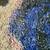 West Elm Area Rug - Artist Zoe Bios Islands - 6'x9' - rug pad included 5 thumbnail