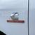 2022 DODGE RAM 3500 HEAVY DUTY 6.7 CUMMINGS DIESEL DUALLY 4X4 4 thumbnail