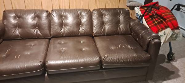 Leather Sofa Bed 1