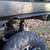 2012 John Deere RSX850I 4x4 Gator rsx 850i 16 thumbnail