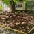 Lawn Care 🌱🌲🪵 landscaping 🪻🌺🌸🪴 mulch Rock dirt delivered 24 thumbnail