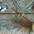 Vintage Modern Adjustable Brass Globe Wall Lamp Light 47" 1 thumbnail