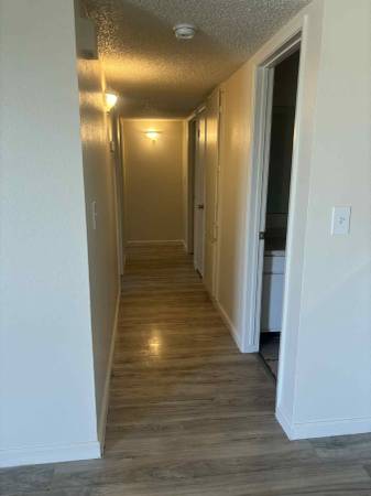 $1,345 / 3br - 940ft2 - Excelente ubicación, unidad completamente remodelada63686265034113122