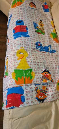 SEASAME STEET VTG  TWIN READING CHARACTERS FLAT SHEET ONLY PRE-OWNED 1
