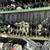 Outboards- outboard parts - all Makes - Yamaha Suzuki Mercury Johnson 15 thumbnail