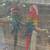Macaws 9 thumbnail