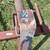 Bucket Mount Hay Mover Spike 4 thumbnail