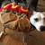 Dog Halloween Costume and others 1 thumbnail