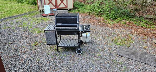 Weber grill 1