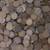 Looking for U.S Indian Head, Lincoln, Large Cents, Nickels Coins etc. 3 thumbnail